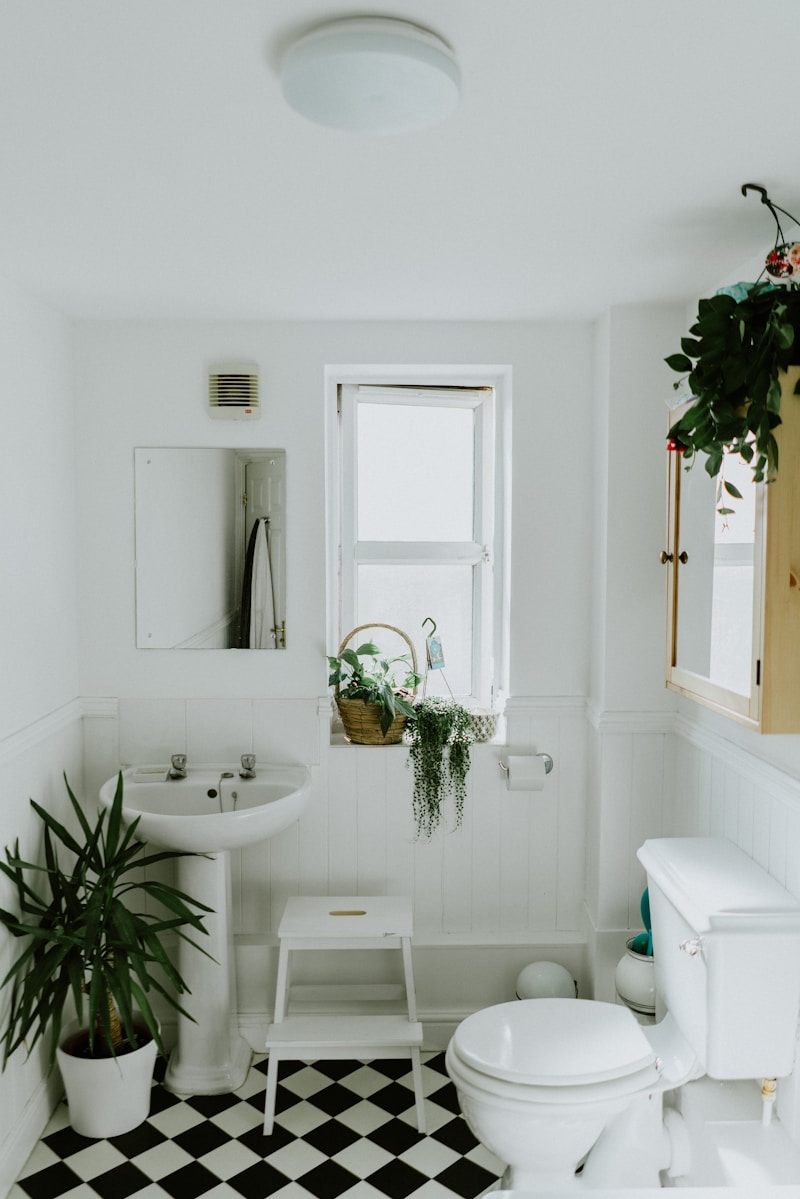 Bathroom vanity &middot; remodel